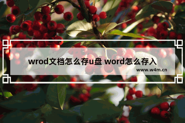 wrod文档怎么存u盘 word怎么存入u盘