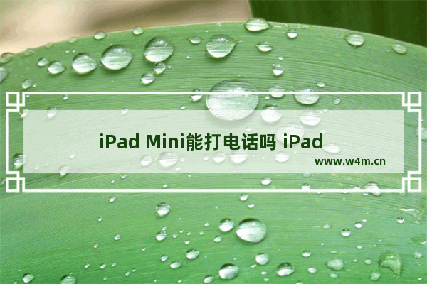 iPad Mini能打电话吗 iPad Mini可不可以打电话终结论