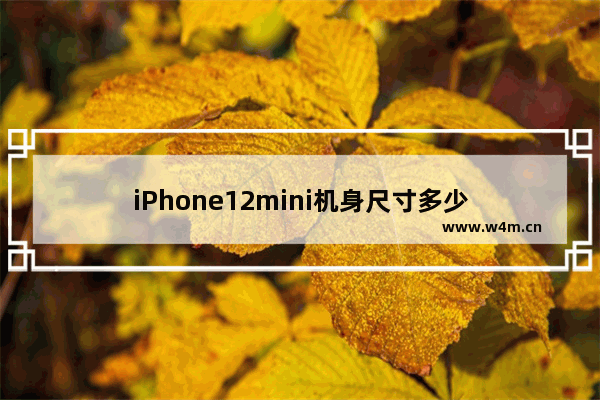 iPhone12mini机身尺寸多少