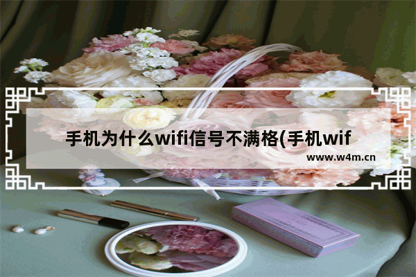 手机为什么wifi信号不满格(手机wifi不能用了信号是满的)