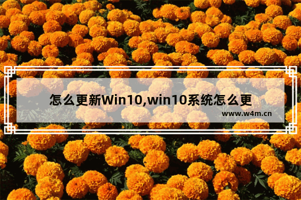 怎么更新Win10,win10系统怎么更新