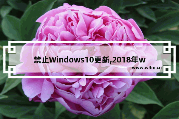 禁止Windows10更新,2018年windows10强制更新怎么关闭