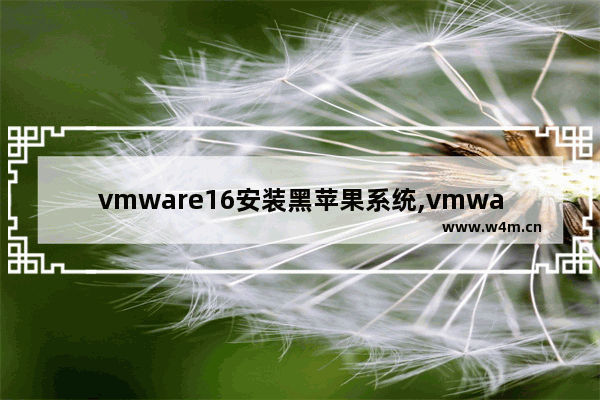 vmware16安装黑苹果系统,vmware16安装macos10.15