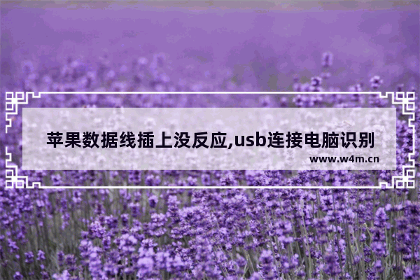 苹果数据线插上没反应,usb连接电脑识别不了怎么办(苹果数据线usb无法识别)