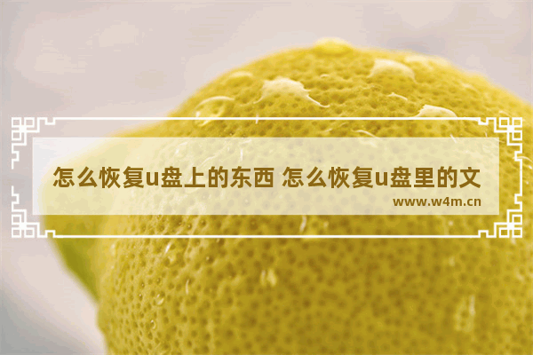 怎么恢复u盘上的东西 怎么恢复u盘里的文件