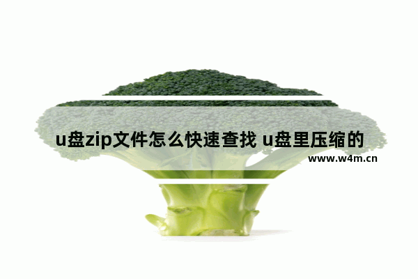 u盘zip文件怎么快速查找 u盘里压缩的文件怎么找不到了