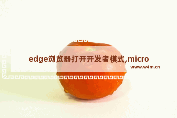 edge浏览器打开开发者模式,microsoft edge chrome内核