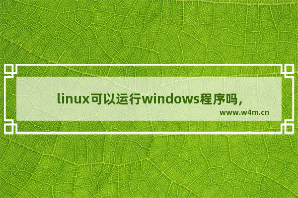 linux可以运行windows程序吗,