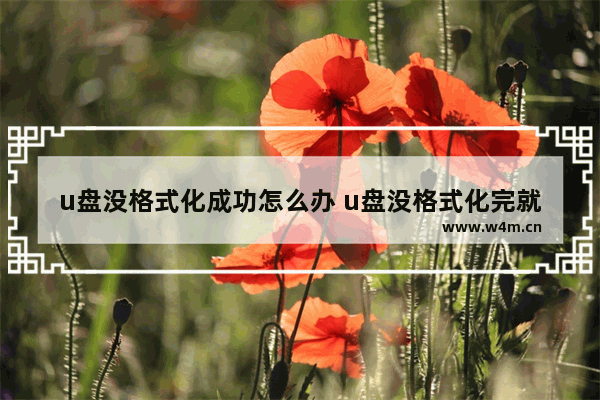 u盘没格式化成功怎么办 u盘没格式化完就拔出