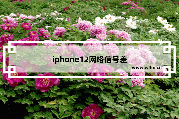 iphone12网络信号差