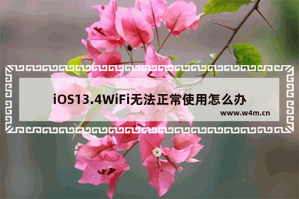 iOS13.4WiFi无法正常使用怎么办？iOS13.4正式版WiFi无法正常使用解决办法