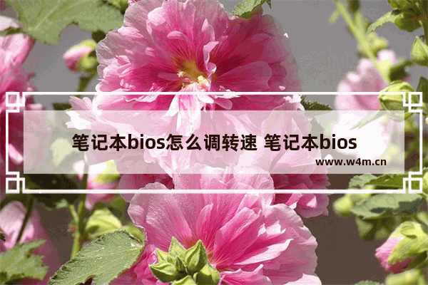 笔记本bios怎么调转速 笔记本bios怎么调风扇转速