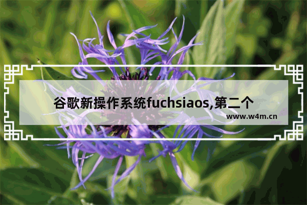 谷歌新操作系统fuchsiaos,第二个iOS- 谷歌全新手机系统Fuchsia曝光