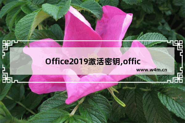 Office2019激活密钥,office2020激活密钥最新