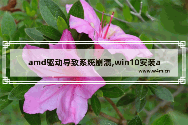 amd驱动导致系统崩溃,win10安装amd驱动死机