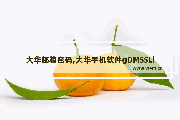 大华邮箱密码,大华手机软件gDMSSLite怎么设置远程(大华手机客户端设备密码)