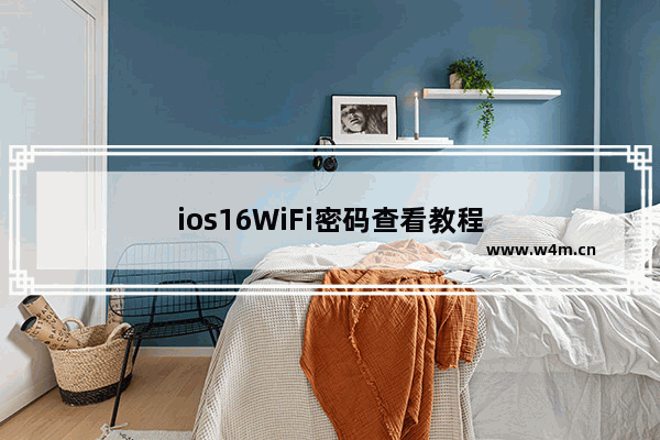 ios16WiFi密码查看教程