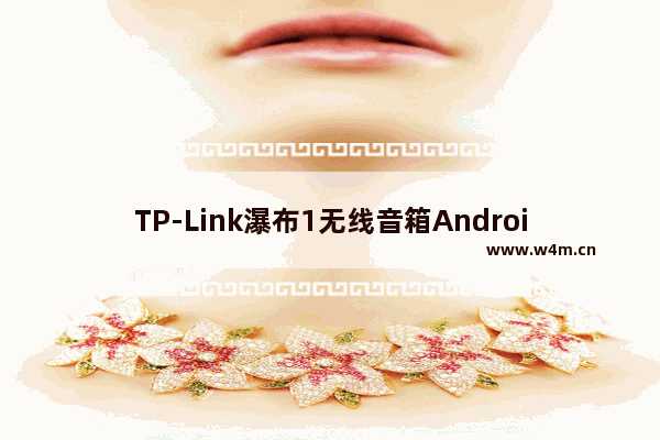 TP-Link瀑布1无线音箱Android版使用方法