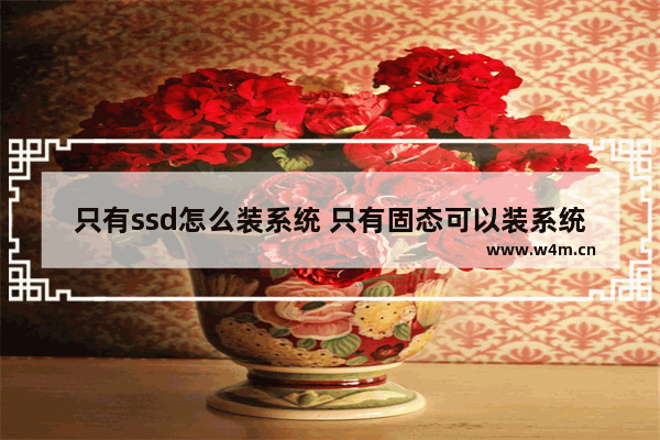 只有ssd怎么装系统 只有固态可以装系统吗