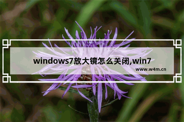 windows7放大镜怎么关闭,win7开机有放大镜怎么关