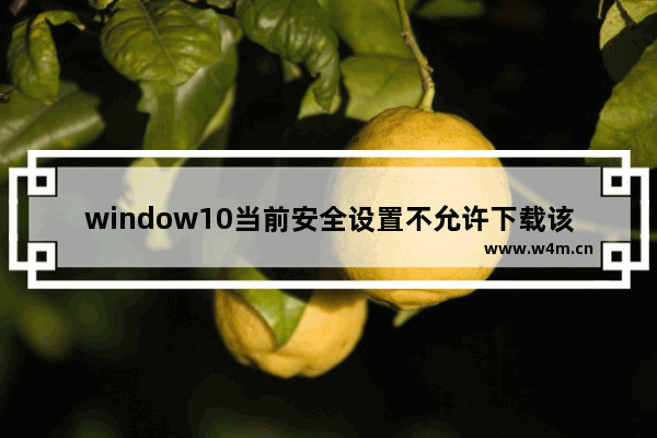 window10当前安全设置不允许下载该文件,安全设置不允许下载该文件怎么解决