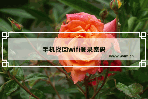 手机找回wifi登录密码