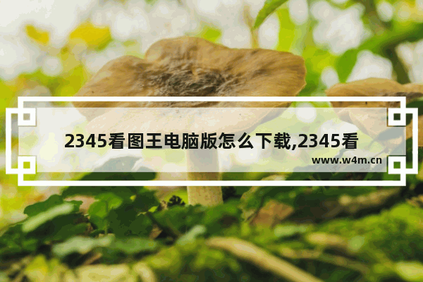 2345看图王电脑版怎么下载,2345看图王手机版下载安装