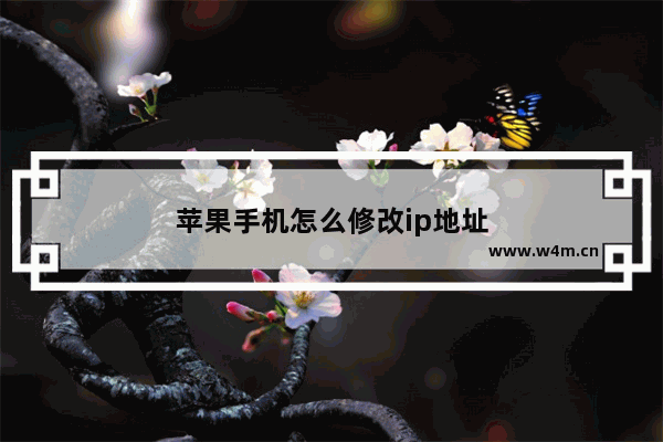 苹果手机怎么修改ip地址