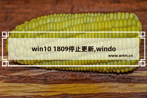 win10 1809停止更新,windows10撤销更新