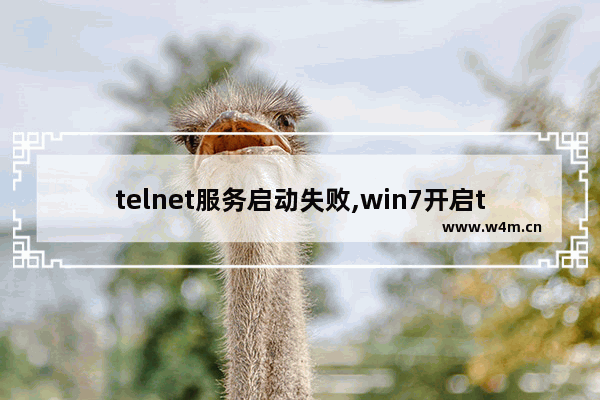 telnet服务启动失败,win7开启telnet客户端出现错误