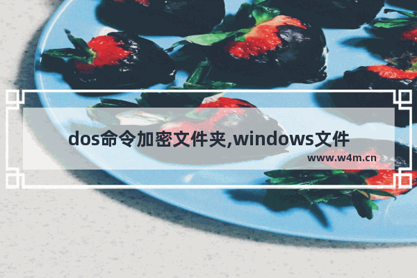 dos命令加密文件夹,windows文件加密命令