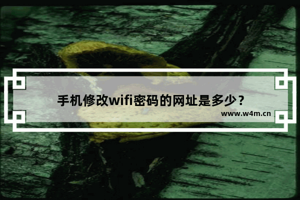 手机修改wifi密码的网址是多少？