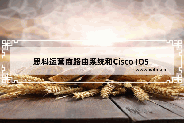 思科运营商路由系统和Cisco IOS XR软件