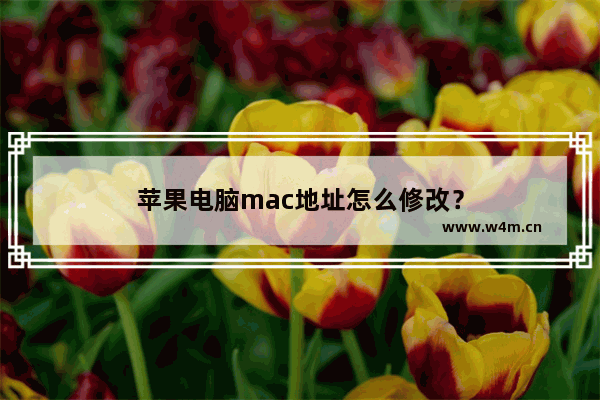 苹果电脑mac地址怎么修改？