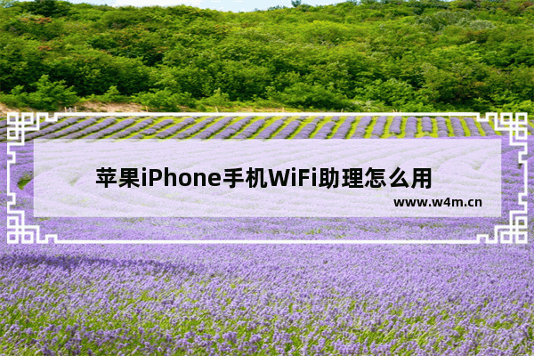 苹果iPhone手机WiFi助理怎么用 苹果手机WiFi助手使用详解