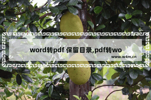 word转pdf 保留目录,pdf转word怎么删除页面