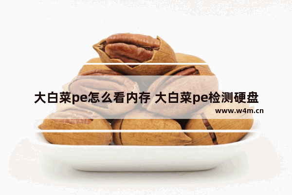 大白菜pe怎么看内存 大白菜pe检测硬盘