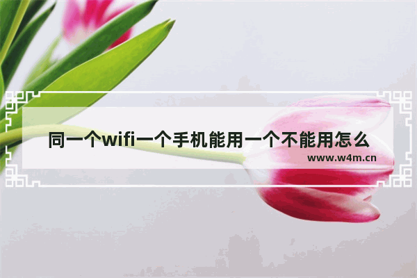 同一个wifi一个手机能用一个不能用怎么办