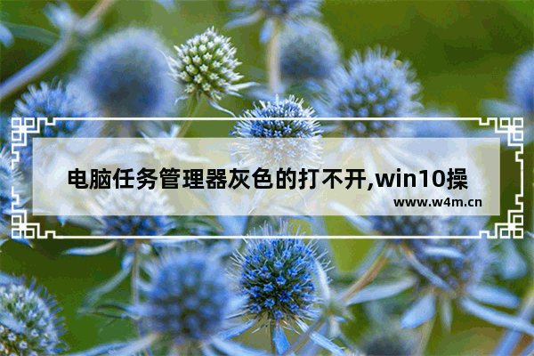 电脑任务管理器灰色的打不开,win10操作中心灰色打不开