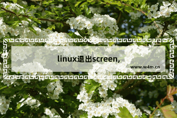 linux退出screen,