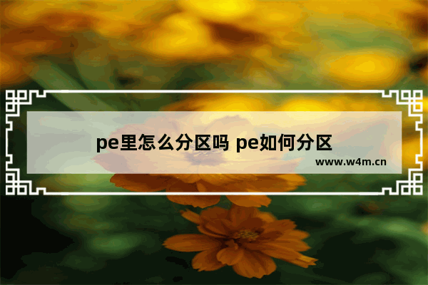 pe里怎么分区吗 pe如何分区