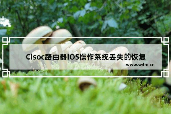 Cisoc路由器IOS操作系统丢失的恢复