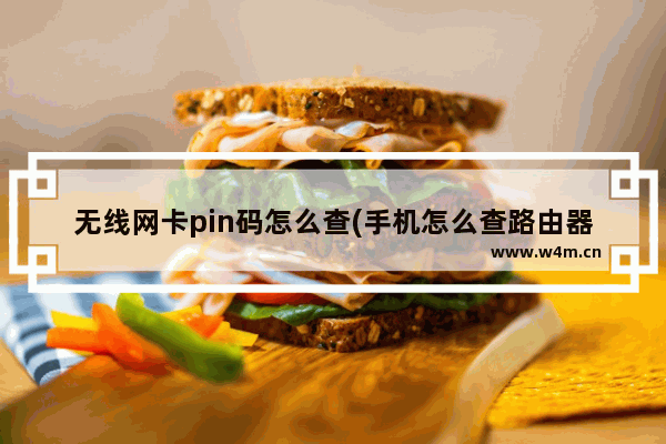 无线网卡pin码怎么查(手机怎么查路由器pin码)