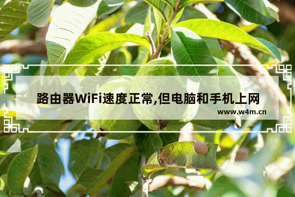 路由器WiFi速度正常,但电脑和手机上网速度慢怎么办？