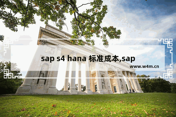 sap s4 hana 标准成本,sap hana s4 模块介绍