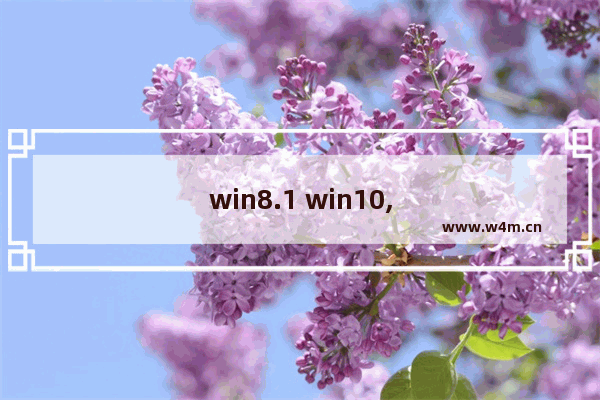 win8.1 win10,