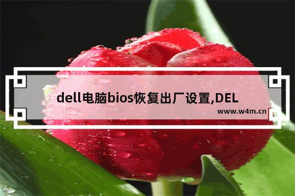 dell电脑bios恢复出厂设置,DELL戴尔Vostro1088系列笔记本BIOS怎样恢复出厂设置