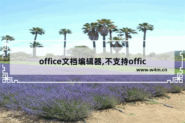 office文档编辑器,不支持office文档在线编辑