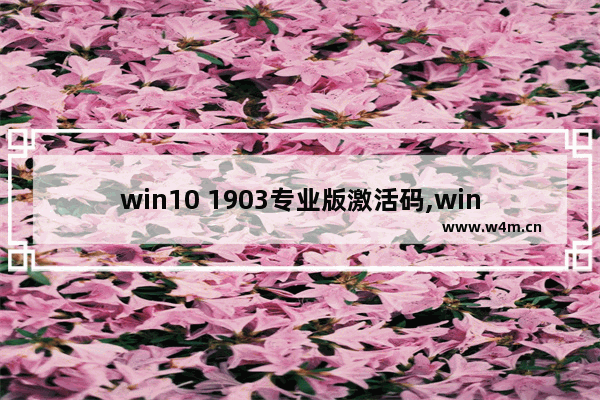 win10 1903专业版激活码,win10专业版1903版本号永久激活工具_1