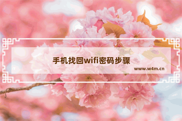 手机找回wifi密码步骤